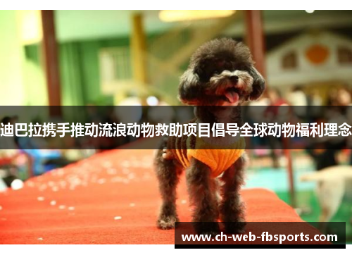 迪巴拉携手推动流浪动物救助项目倡导全球动物福利理念 迪巴拉携手推动流浪动物救助项目倡导全球动物福利理念