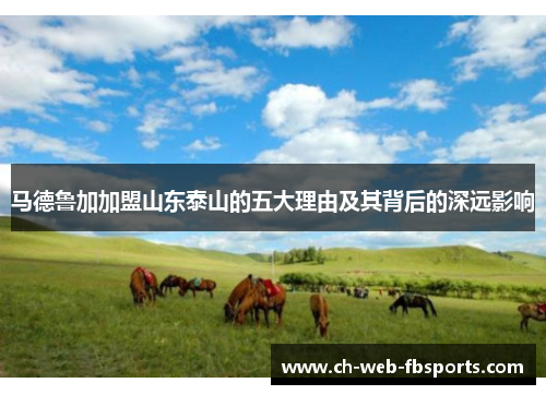 马德鲁加加盟山东泰山的五大理由及其背后的深远影响